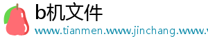b机文件